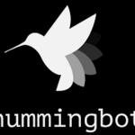 Hummingbot.png